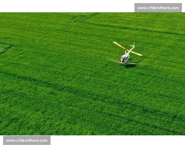 构建现代体育行业规范体系推动高质量发展路径研究与治理创新实践探索